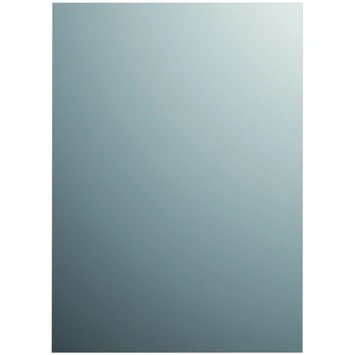 Plieger Spiegel Zilver 120x30 Cm 3 Plieger Spiegel Zilver 120x30 Cm