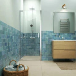 Sealskin Inc. Draaideur In Nis 100x200 Cm, 8 Mm Helder Veiligheidsglas Met Antikalklaag Zilver Hoogglans