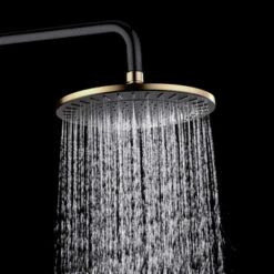 Tiger Regendoucheset Akcent Zwart Messing -Badkamerartikelen Winkel 123 5511