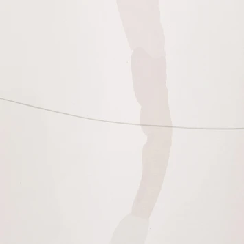 Sealskin Douchegordijn Earth 180x200cm D.roze/wht 10 Sealskin Douchegordijn Earth 180x200cm D.roze/wht - Afbeelding 8