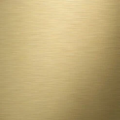 Tiger Tune Toiletborstelhouder Geborsteld Messing/mat Zwart -Badkamerartikelen Winkel 123 7189