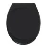 Tiger WC Bril Mason Zwart Kunststof Met Softclose -Badkamerartikelen Winkel 123 7979