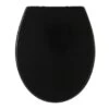 Tiger WC Bril Aiden Zwart Kunststof Met Softclose 2 Tiger WC Bril Aiden Zwart Kunststof Met Softclose -Badkamerartikelen Winkel 123 8148