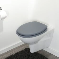 Tiger WC Bril Reno Grijs 14 Tiger WC Bril Reno Grijs -Badkamerartikelen Winkel 123 8156