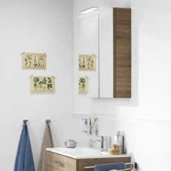 TIGER S-line Spiegelkast 60cm Chalet Eiken 14 TIGER S-line Spiegelkast 60cm Chalet Eiken -Badkamerartikelen Winkel 123 829