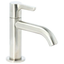 Atlantic Fonteinkraan Riley Met Hendel RVS -Badkamerartikelen Winkel 123 8556