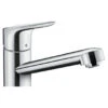Hansgrohe Keukenkraan Focus M43 Met Hendel Chroom 100 -Badkamerartikelen Winkel 123 9053